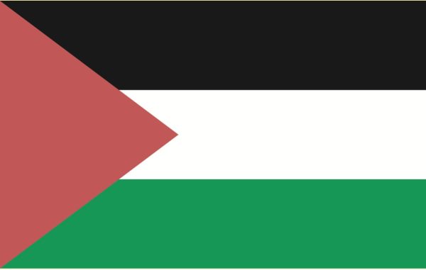 Bandera de Palestina de 100 x 60 ctms, con oiaos en las esquinas