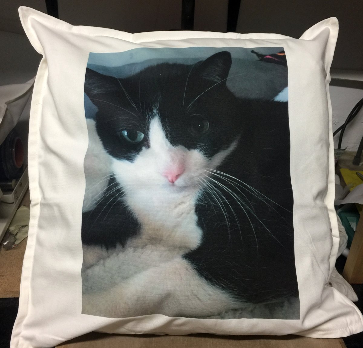 Cojín personalizado con la foto de un gato